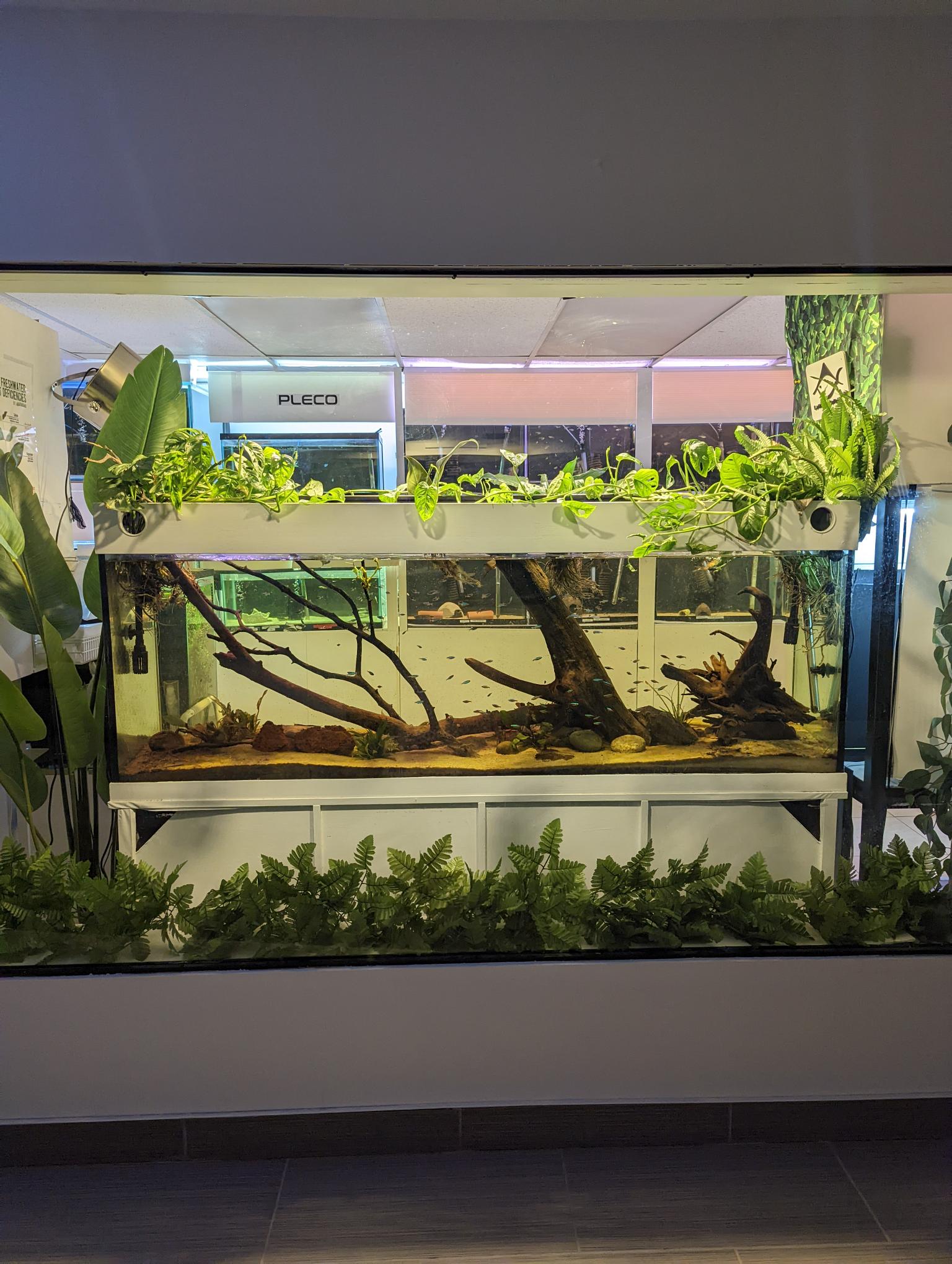 galerie-la-maison-du-poisson