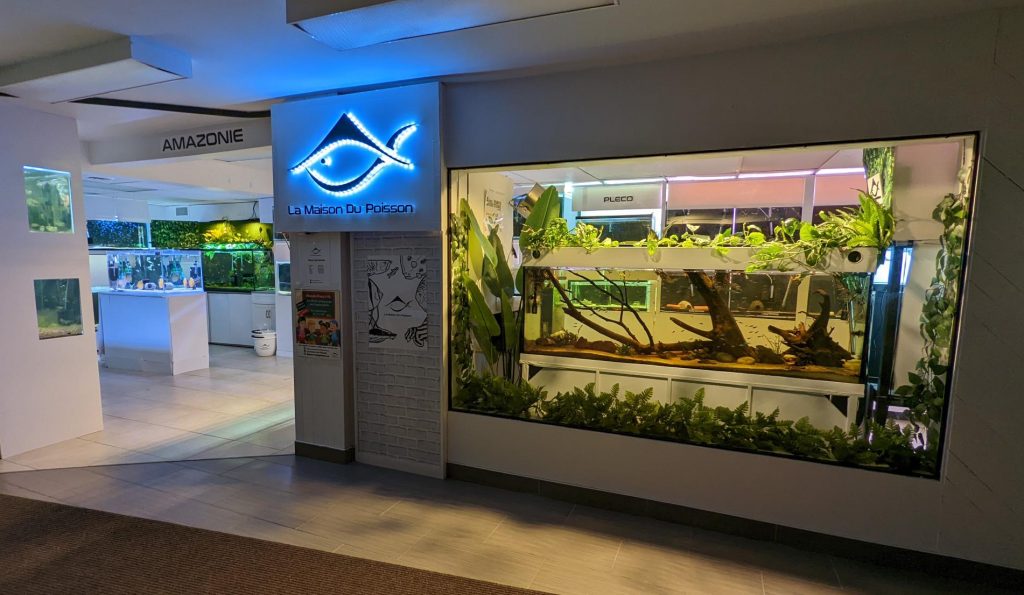 galerie-la-maison-du-poisson